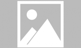 功夫熊,勇闯江湖的传奇英雄